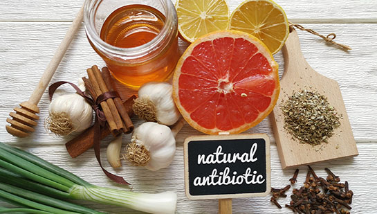 Natural antibiotics reccomnded by Laurel chiropractor